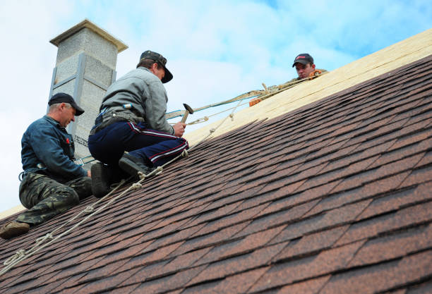 Best Storm Damage Roof Repair  in Haddon Heights, NJ